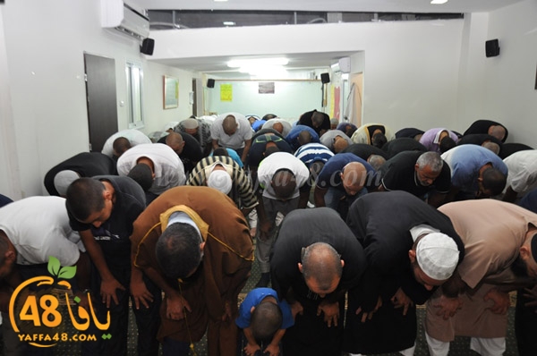 mohamed elfatekh3 (3).JPG